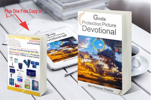 Product picture Gods Protection Picture Devotional E-book